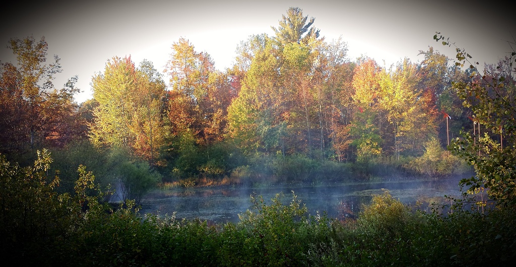 Autumn mist by edorreandresen
