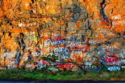 8th Oct 2013 - Grafitti