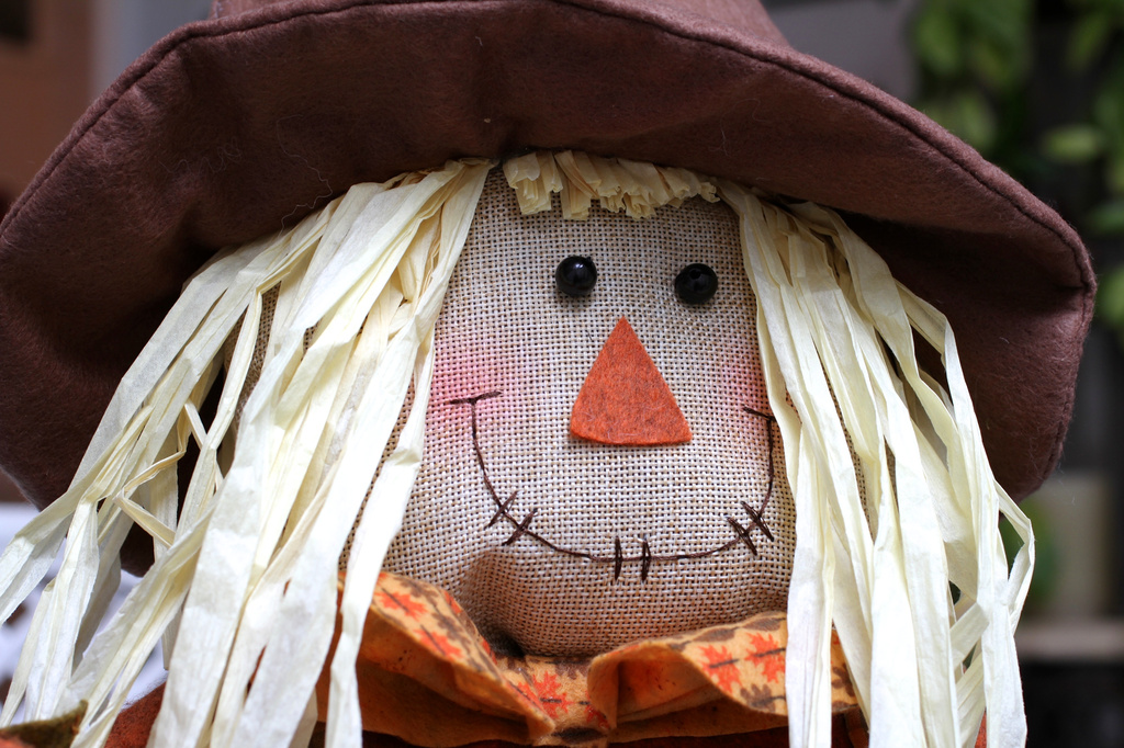 Scarecrow by whiteswan