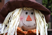 11th Oct 2013 - Scarecrow