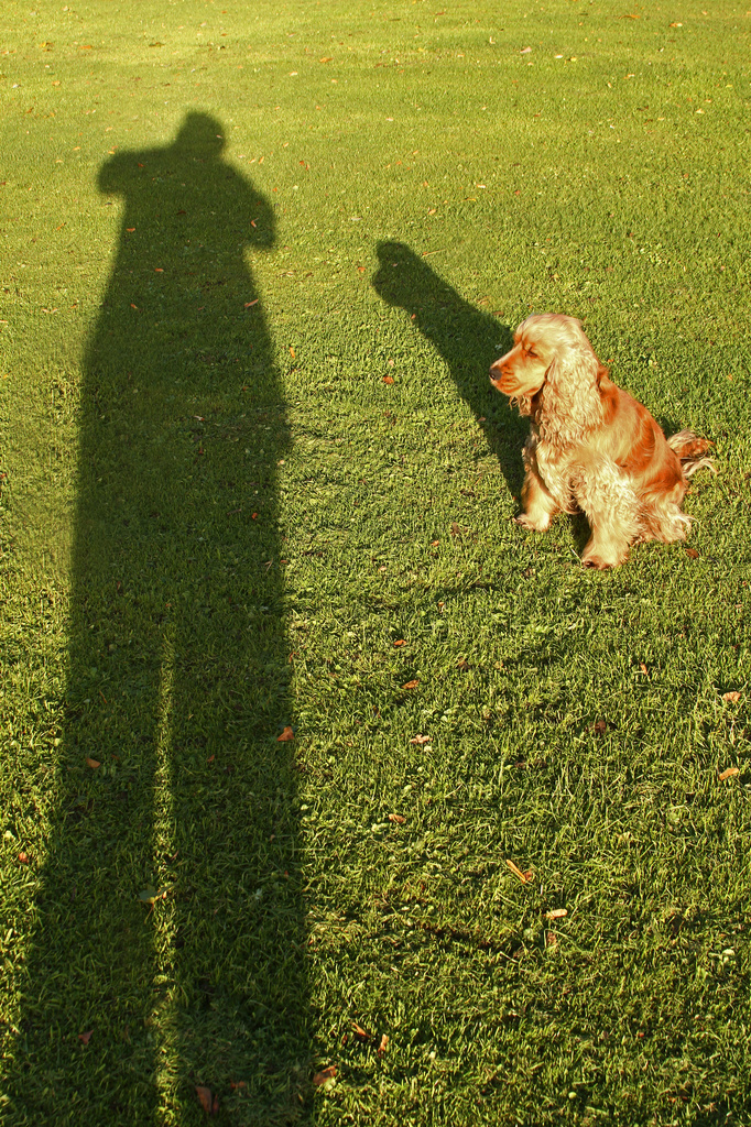 Me and my shadow by angelar