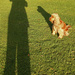 Me and my shadow by angelar