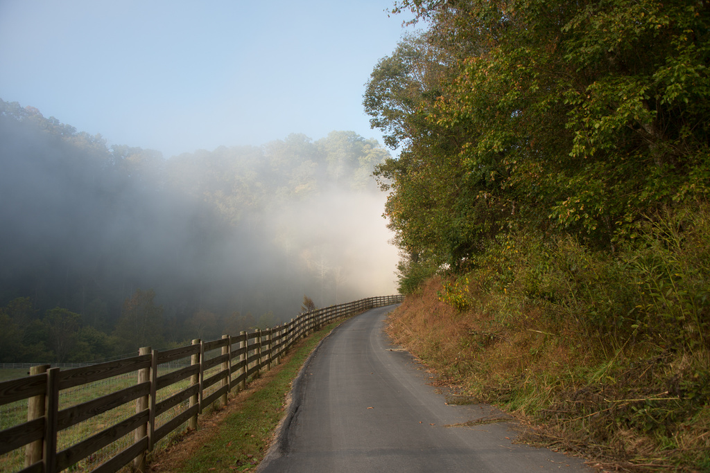 Morning Fog by kathyladley