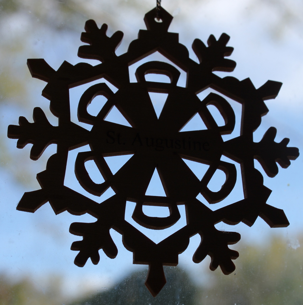 Snowflake  by randystreat