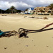 2013 10 12 Beach Debris by kwiksilver