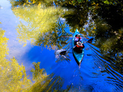 13th Oct 2013 - View from Kenilworth Trail Bridge