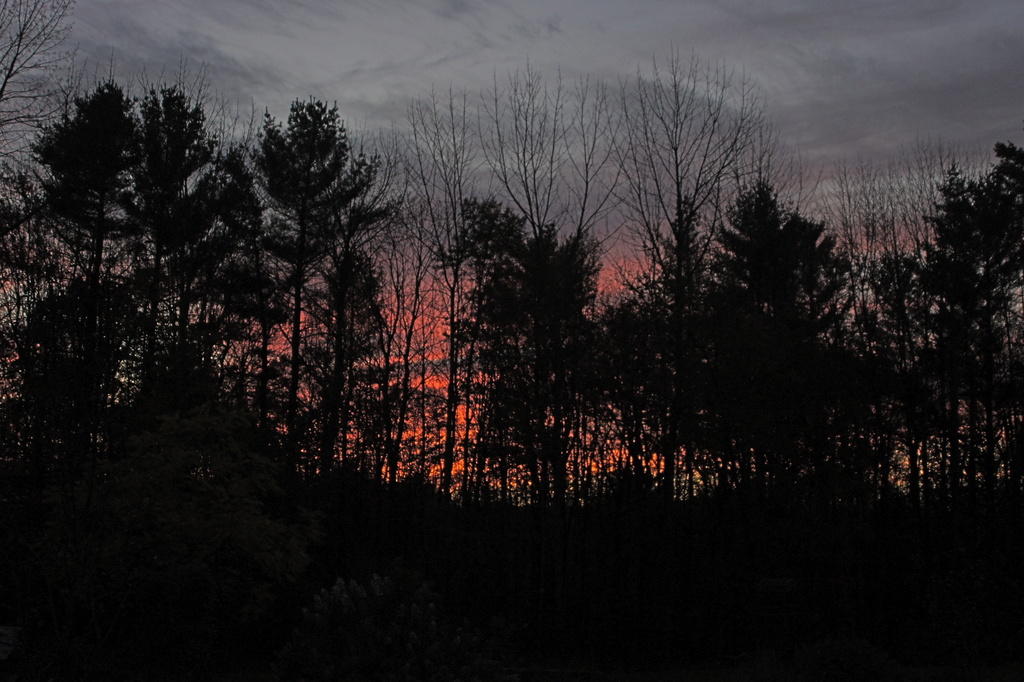 Backyard Sunset by rob257