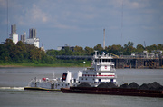 13th Oct 2013 - Along the Mississippi