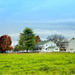 Amish Farmstead by skipt07