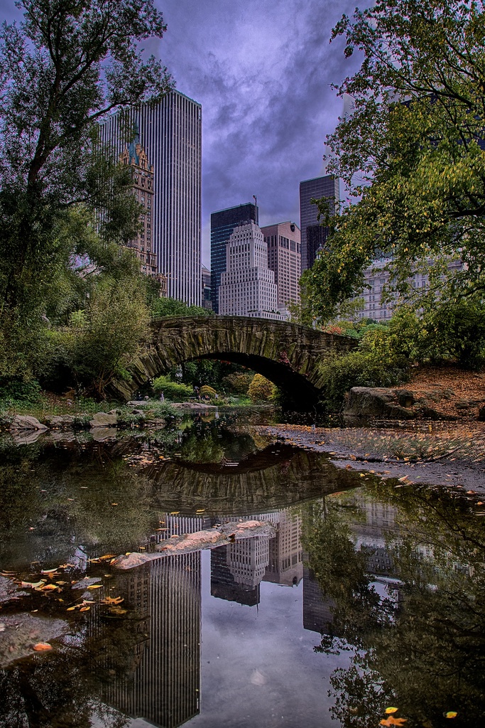 A Bridge in Central Park by taffy