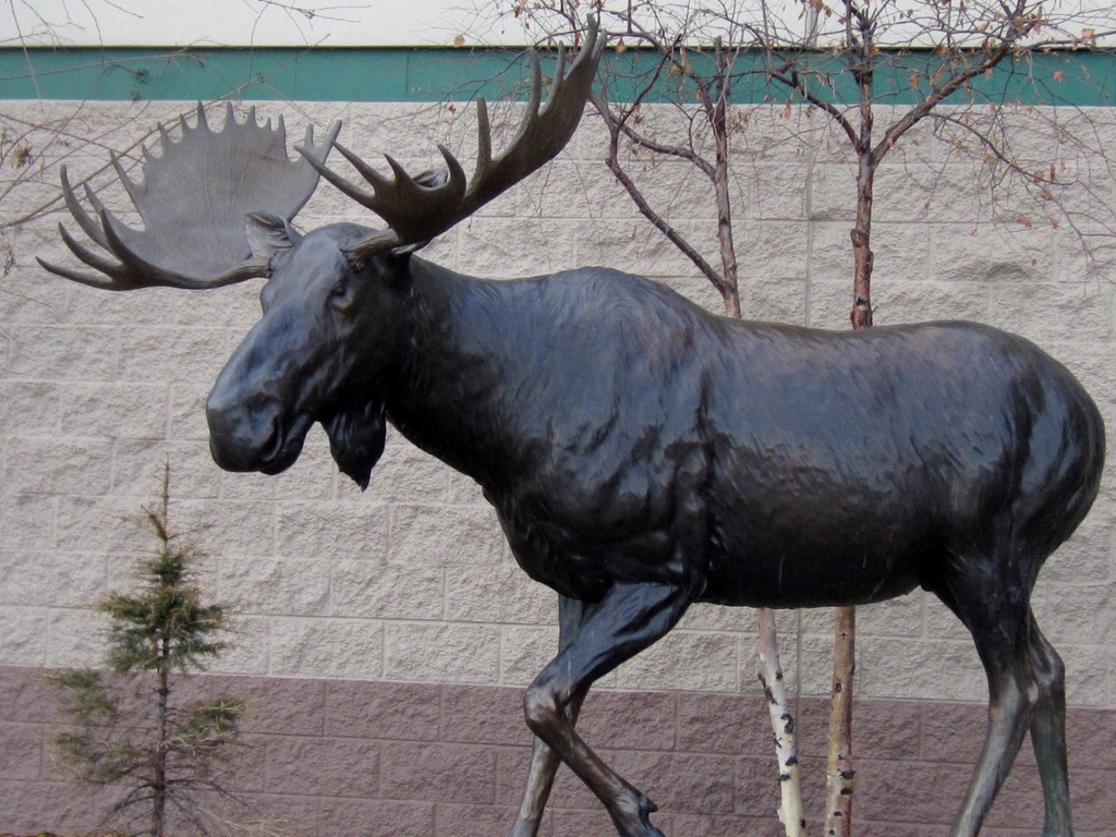 Moose Sculpture by bjywamer