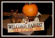 6th Oct 2013 - Welcome Harvest