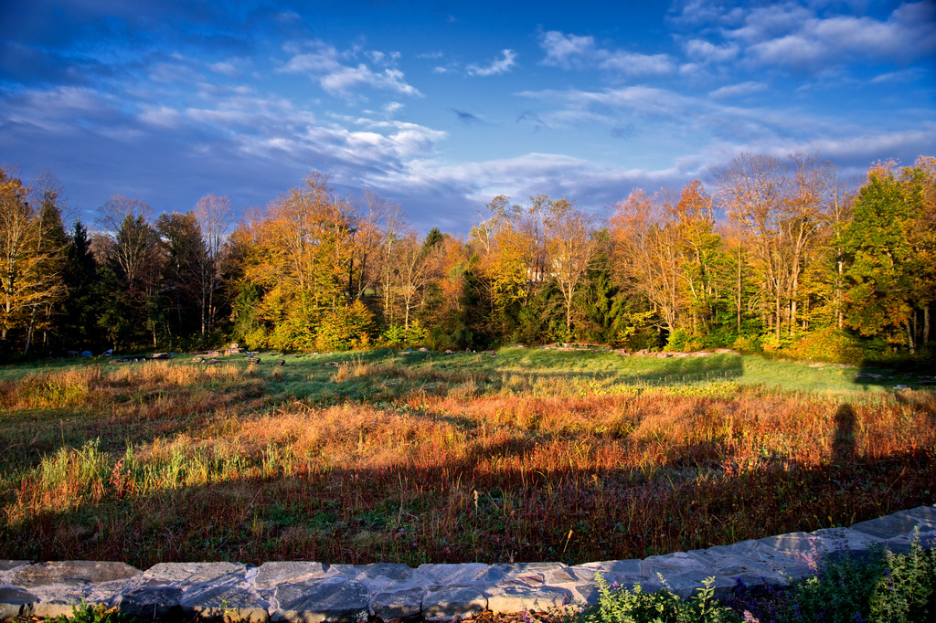 Fall in Boyd's Mills by taffy