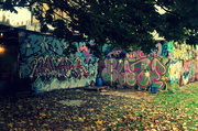 14th Oct 2013 - Graffiti shot