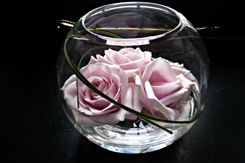fresh roses in a bowl.... by quietpurplehaze