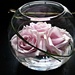 fresh roses in a bowl.... by quietpurplehaze