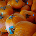 Pumpkins Everywhere by kathyladley