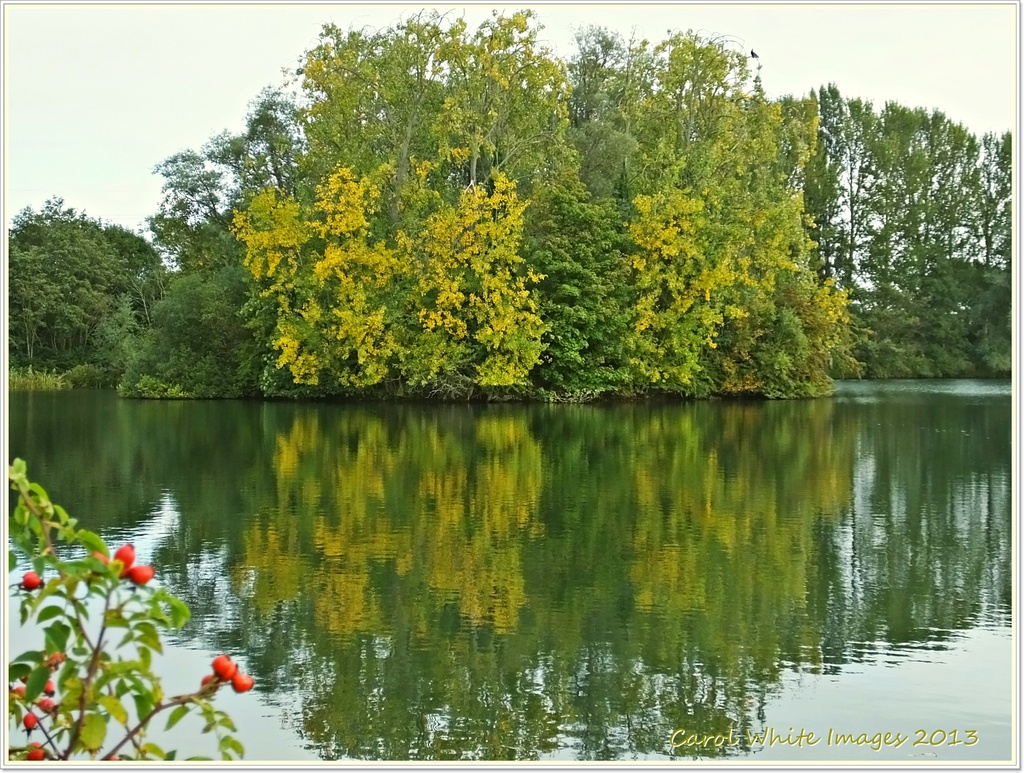 Lake In Autumn by carolmw