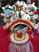 13th Oct 2013 - Chinese Dragon