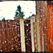 Cobweb and raindrops  by beryl