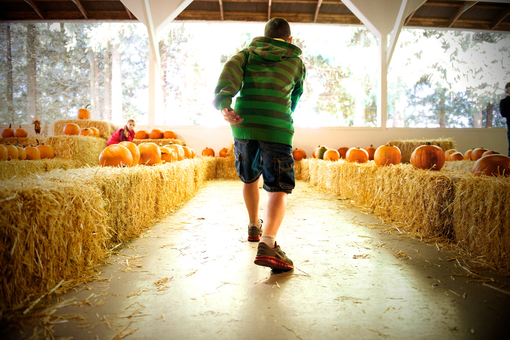 Pumpkin Bowling by kwind