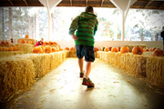 15th Oct 2013 - Pumpkin Bowling