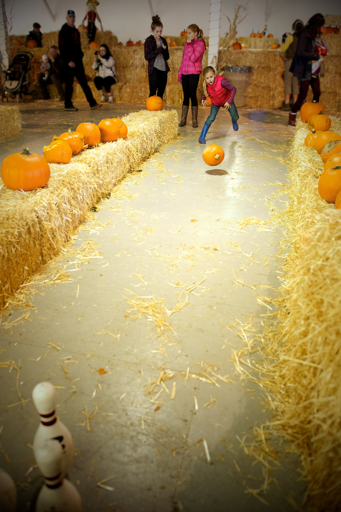More Pumpkin Bowling by kwind