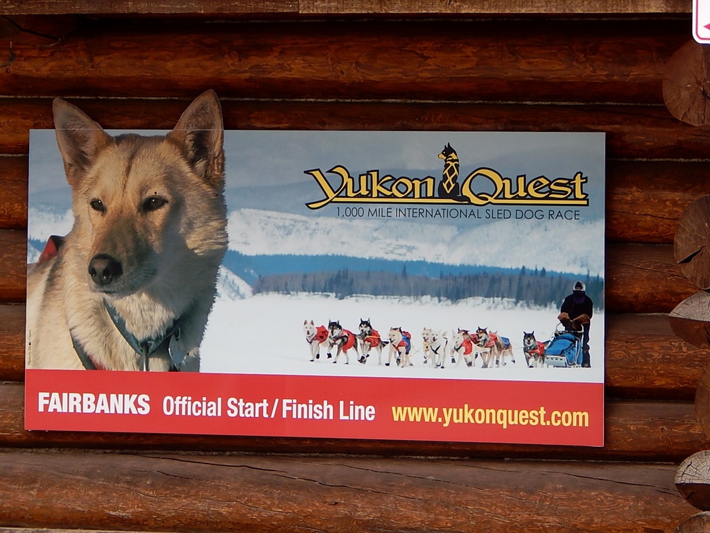 Yukon Quest--Local Wonders: Local Event by bjywamer