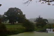 16th Oct 2013 - Foggy Morning
