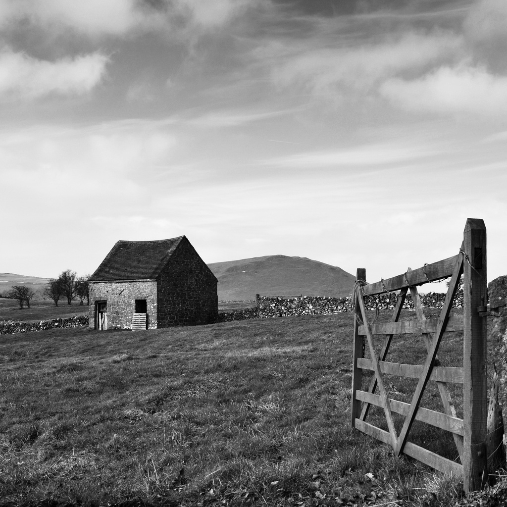 Gate and Barn by seanoneill