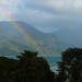 A riot of rainbows by kiwinanna