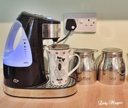 16th Oct 2013 - Lets Have a Cuppa - Kitchen Gadget 3