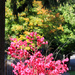More Colour in Tualatin by hjbenson