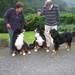 Prize-Winning Bernese Mountain Dogs by susiemc