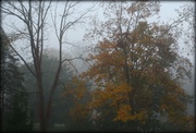 16th Oct 2013 - There was fog outside my window