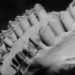 Teeth and Bone by gamelee
