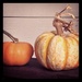 Pumpkins by lisaconrad