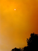 17th Oct 2013 - Bushfire sky