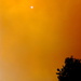 Bushfire sky by kjarn