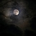 October Moon by peggysirk