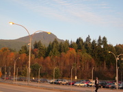 5th Oct 2013 - Autumn Ferry Lines