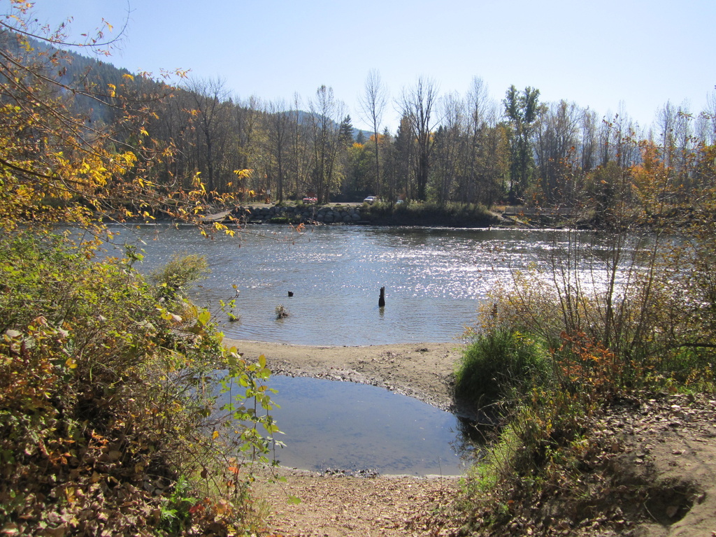 Pond by the River by pamelaf