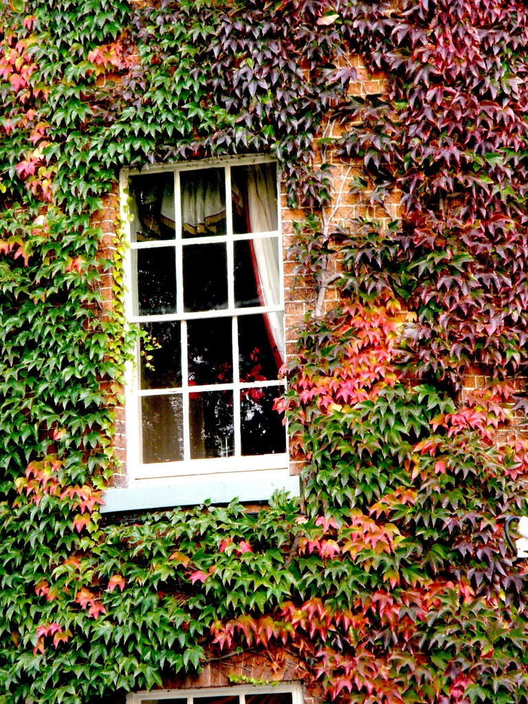 Mytton and Merrmaid window by beryl