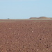 Sturt Stony Desert - Central Australia by marguerita