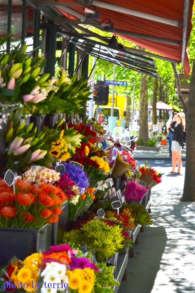 Flower Stall by teodw