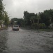 Flooded street in Charleston, SC by graceratliff