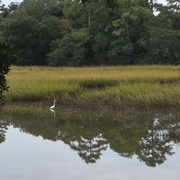 17th Oct 2013 - Marsh scene, Charleston, SC