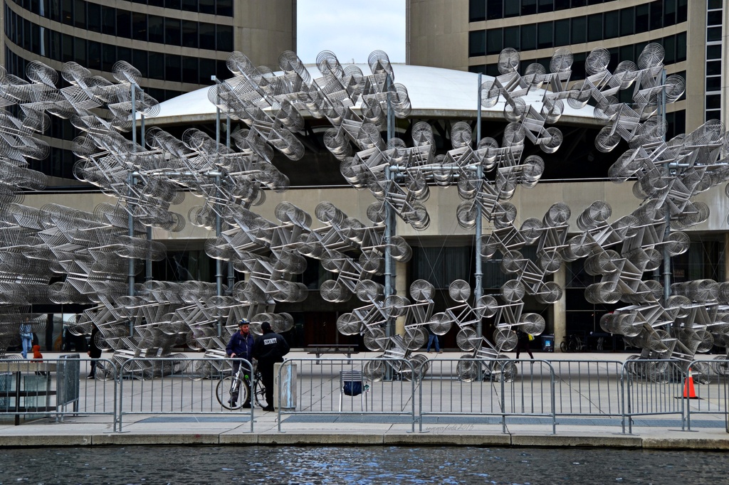 forever bicycles, the full view by summerfield