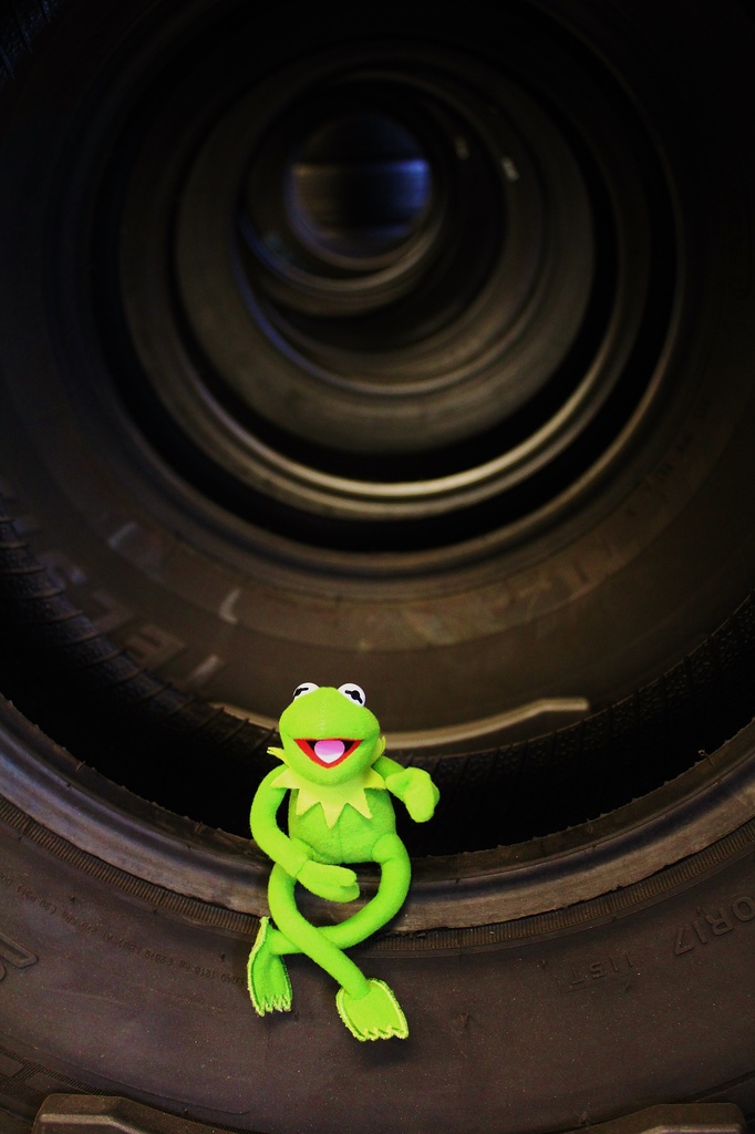 Kermit in the round! by edorreandresen