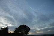 18th Oct 2013 - sky & tree silhouettes